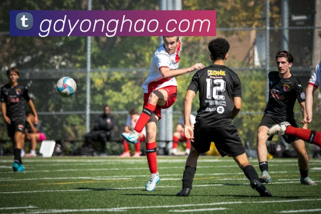 为何在太阳的探索中未能取得突破性进展弩机表示应向领导询问原因